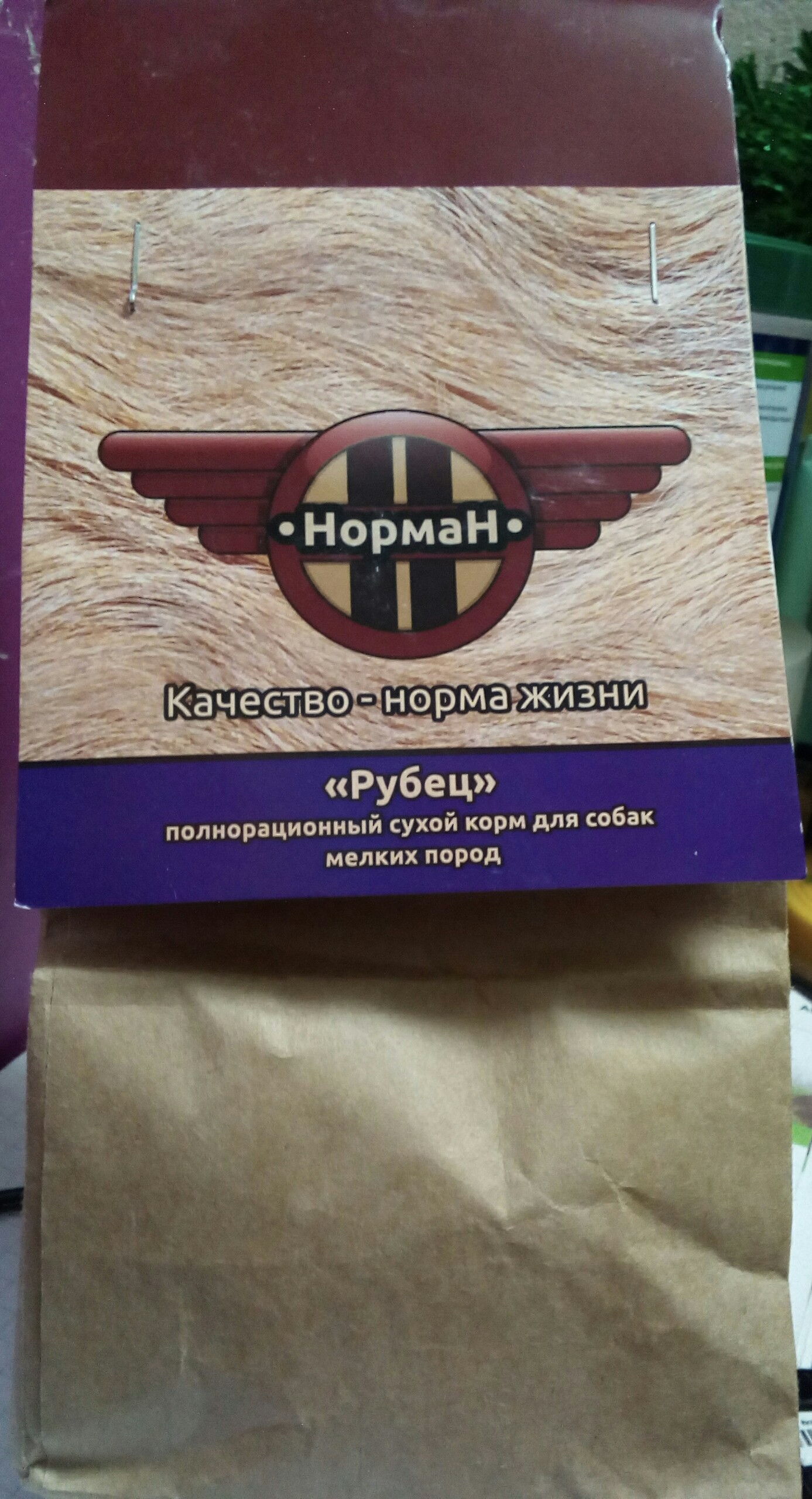 Корм для собак НормаН: отзывы, разбор состава, цена