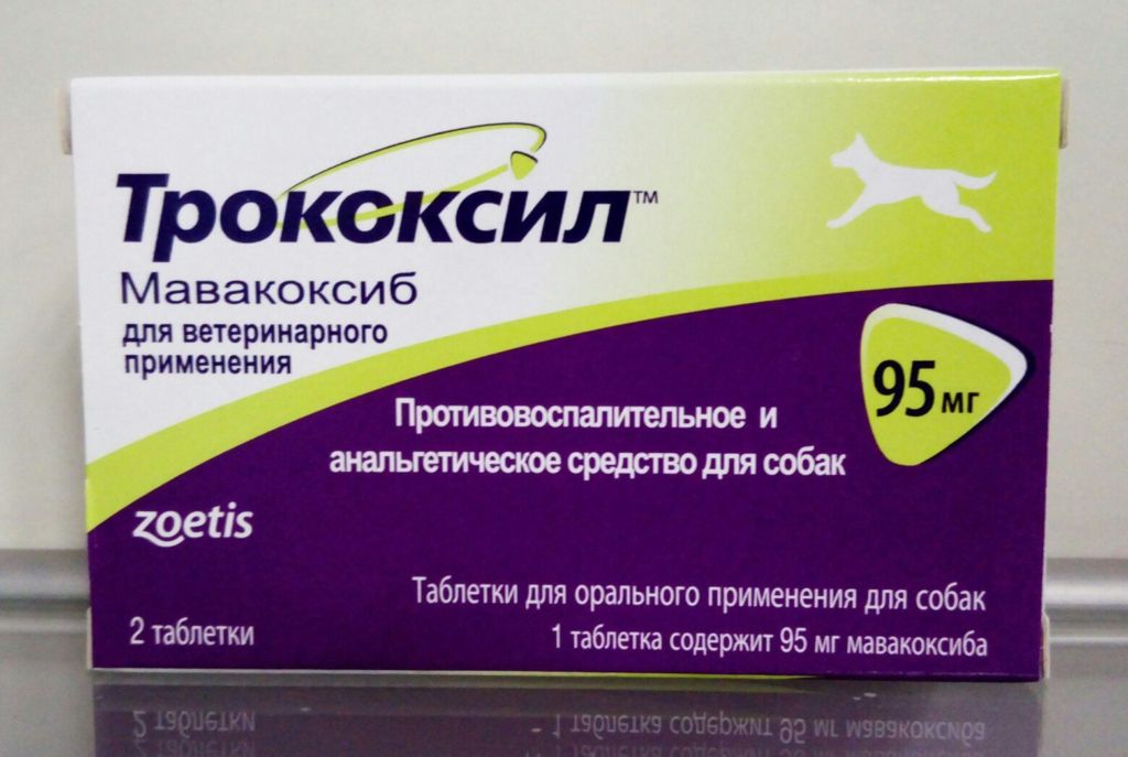 Трококсил для собак: инструкция по применению, противопоказания и побочные действия